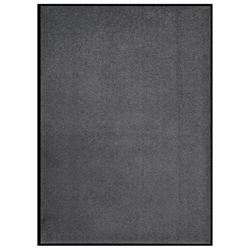 Rantry Fu?Matte 60x80 cm Anthrazit Eingangstürmatte Model331593 von Rantry