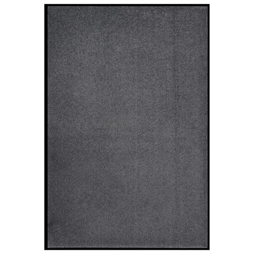 Rantry Fu?Matte 80x120 cm Anthrazit Eingangstürmatte Model331594 von Rantry