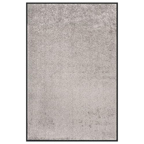 Rantry Fu?Matte 80x120 cm Grau Eingangstürmatte Model331591 von Rantry