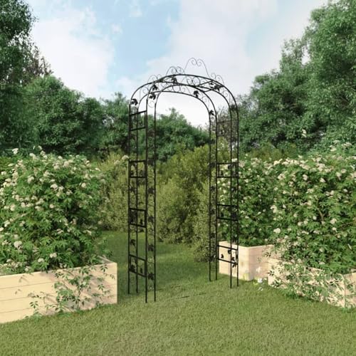 Rantry Gartenbogen Schwarz 116x45x240 cm Stahl Gartenbogen Model319350 Rantry Gartenbogen Schwarz 116x45x240 cm Stahl Gartenbogen Model319350 von Rantry