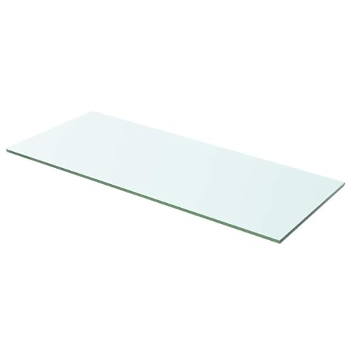 Rantry Regalboden Glas Transparent 60x20 cm Regalglas Model243824 von Rantry