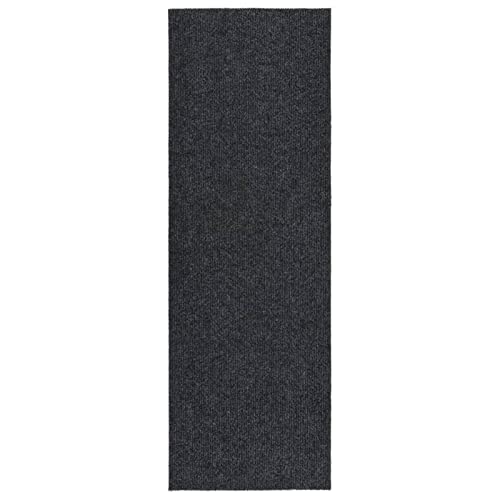 Rantry Schmutzfänger Teppich Läufer 100x300 cm Anthrazit Teppiche von Rantry