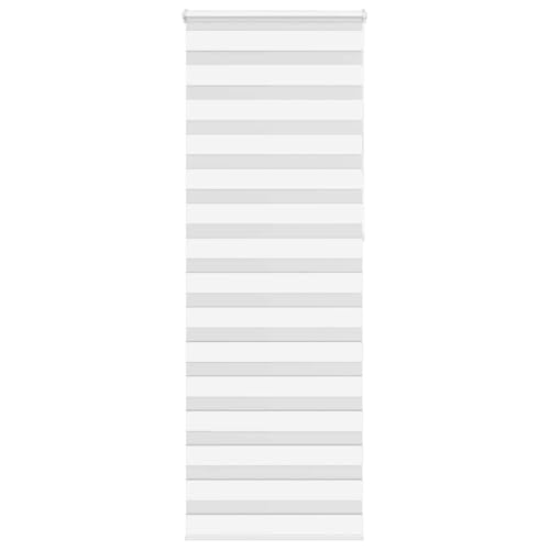 Rantry Zebra Rollo, Stoffbreite 65,9 cm, Polyester, Verdunkelungsrollo, Vorhang für Tageslicht, Innenrollo, Verdunkelungsvorhänge, Verdunkelungsvorhänge für Innenräume, Modell 4014801 Rantry Zebra Rollo, Stoffbreite 65,9 cm, Polyester, Verdunkelungsrollo, Vorhang für Tageslicht, Innenrollo, Verdunkelungsvorhänge, Verdunkelungsvorhänge für Innenräume, Modell 4014801 von Rantry