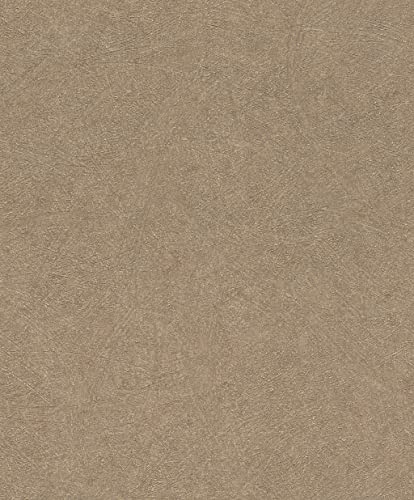Rasch Tapeten Vliestapete (universell) Braun goldene 10,05 m x 0,53 m Concrete 520286 von Rasch