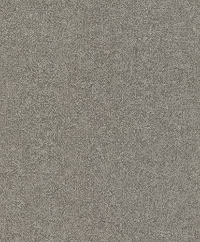 Rasch Tapeten Vliestapete (universell) Schwarz silberne 10,05 m x 0,53 m Composition 554564 von Rasch