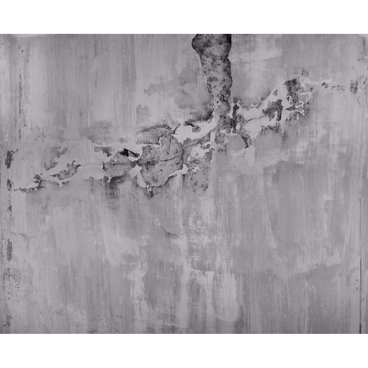 Rasch Digitaltapete Factory IV 439908 Beton Grau 2,6 m x 3,18 m Rasch Digitaltapete Factory IV 439908 Beton Grau 2,6 m x 3,18 m von Rasch