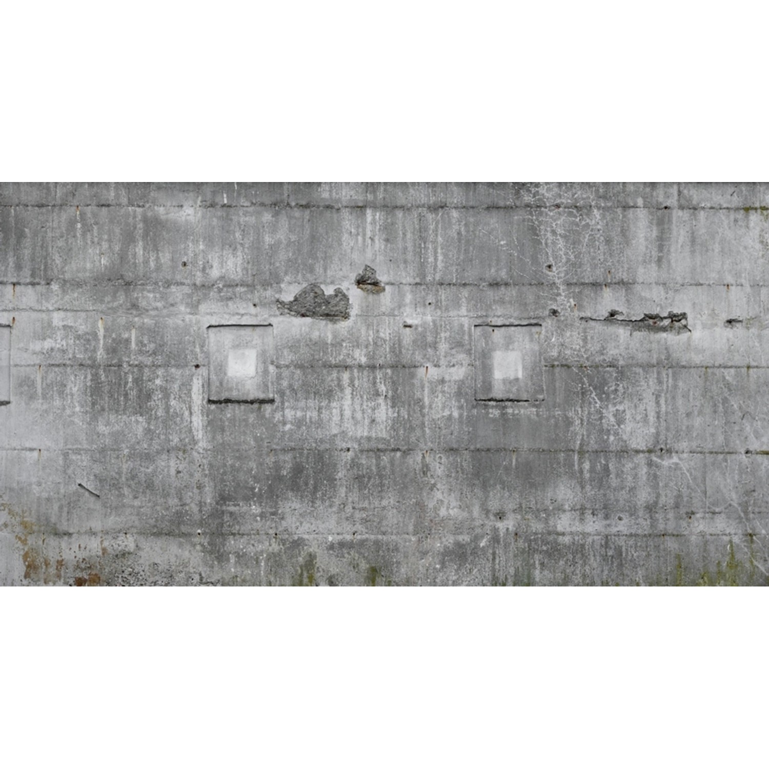 Rasch Digitaltapete Factory IV 445503 Beton Grau 3 m x 5,58 m von Rasch