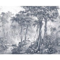 Rasch Fototapete "Vliestapete Curiosity 543742" tropisch glatt Dschungeltapete von Rasch