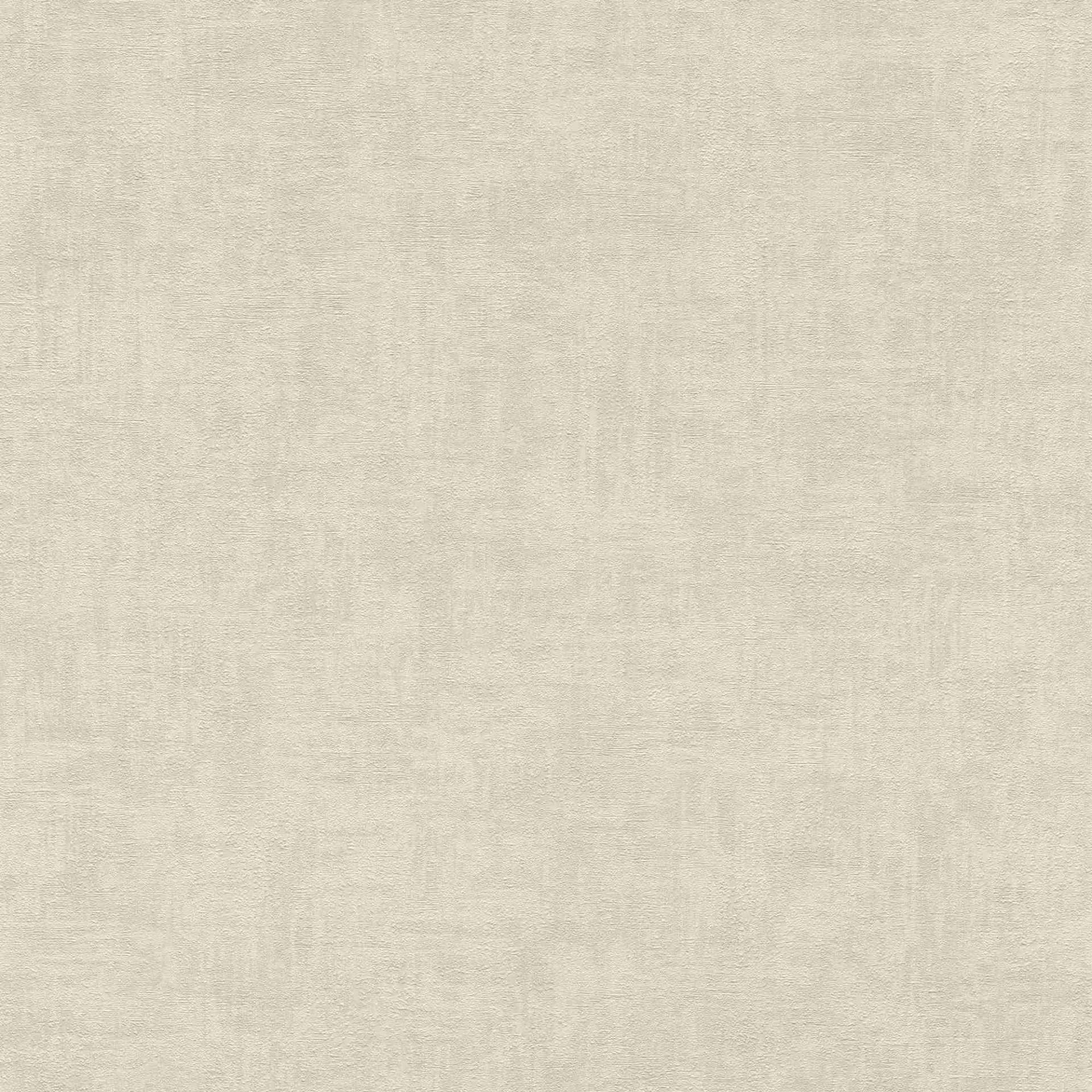 Rasch | Selection | 229820 | Papiertapete | Uni | 10.05 x 0.53 m | Beige Rasch | Selection | 229820 | Papiertapete | Uni | 10.05 x 0.53 m | Beige von Rasch