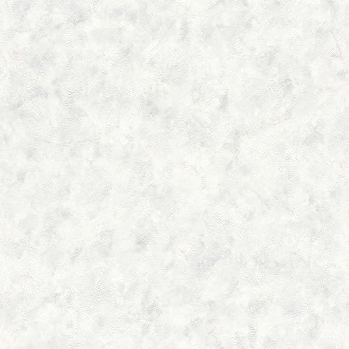 Rasch Tapete 218022 - Papiertapete mit Putzoptik und Putzstruktur in Hellgrau - 10,05m x 0,53m (LxB) von Rasch