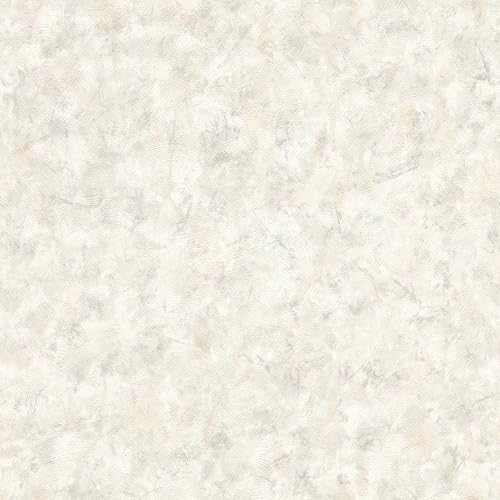 Rasch Tapete 218039 - Papiertapete mit Putzoptik und Putzstruktur in Greige - 10,05m x 0,53m (LxB) von Rasch