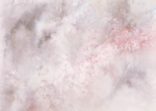 Rasch Tapete 362947 - Fototapete auf Vlies mit Himmel in Grau, Rosa und Weiß aus der Kollektion Magicwalls - 2,65 m x 3,71 m (LxB) von Rasch