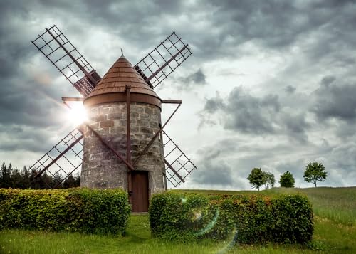 Rasch Tapete 363463 - Fototapete auf Vlies mit einer Windmühle in Grün und Grau aus der Kollektion Magicwalls - 2,65 m x 3,71 m (LxB) von Rasch