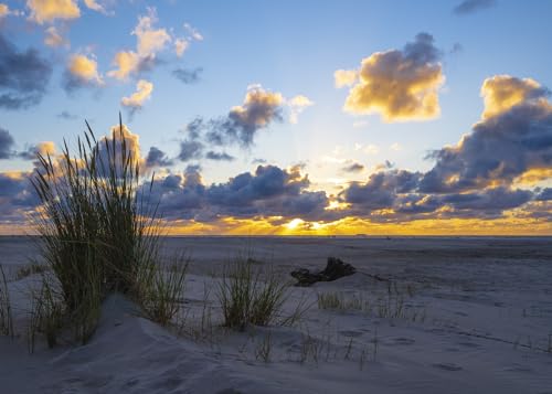 Rasch Tapete 364699 - Fototapete auf Vlies mit Strand und Sonnenuntergang in Blau und Beige aus der Kollektion Magicwalls - 2,65 m x 3,71 m (LxB) von Rasch