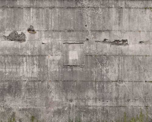 Rasch Tapete 445510 - Fototapete auf Vlies mit Betonoptik in Grau, 300 x 372 cm von Rasch