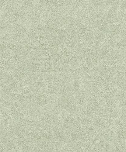 Rasch Tapete 699821 - Einfarbige Vliestapete mit leichter Putz-Optik, Beton-Optik in Grün Rasch Tapete 699821 - Einfarbige Vliestapete mit leichter Putz-Optik, Beton-Optik in Grün von Rasch