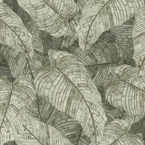 Rasch Tapete 720549 - Vliestapete mit modernem Blattmuster in Oliv-Grün, Blätter-Motiv, Tropisch, Botanisch - Kollektion: Amara Rasch Tapete 720549 - Vliestapete mit modernem Blattmuster in Oliv-Grün, Blätter-Motiv, Tropisch, Botanisch - Kollektion: Amara von Rasch