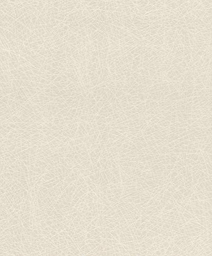 Rasch Tapeten Vliestapete (universell) Beige 10,05 m x 0,53 m #ROCKNROLLE 541342 von Rasch