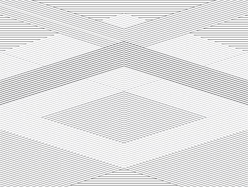 Rasch Tapeten 100440 - Fototapete mit geometrischem Design aus feinen Linien in Grau und Schwarz aus der Young Artists Kollektion – 2,80m x 3,72m (L x B) von Rasch