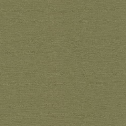 Rasch Tapeten Vliestapete (universell) Grün 10,05 m x 0,53 m Kalahari 452068 von Rasch
