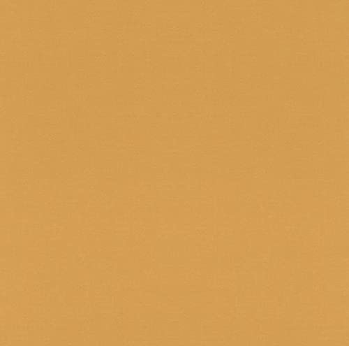 Rasch Tapeten 552805 - Einfarbige Vliestapete aus der Kollektion Salisbury in mattem Gelb mit leichter Struktur – 10,05m x 53cm (L x B) von Rasch