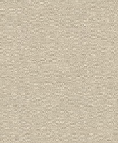 Rasch Tapeten Vliestapete (universell) Beige 10,05 m x 0,53 m Kalahari 700459 von Rasch