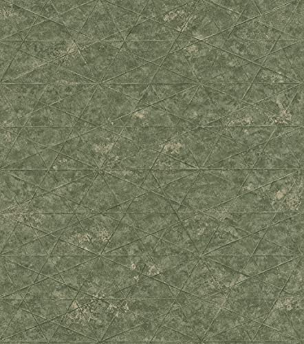 Rasch Tapeten Vliestapete (Grafisch) Grün 10,05 m x 0,53 m Composition 554359 von Rasch