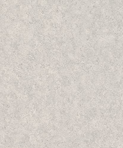 Rasch Tapeten Vliestapete (universell) Grau 10,05 m x 0,53 m Andy Wand 649321 von Rasch
