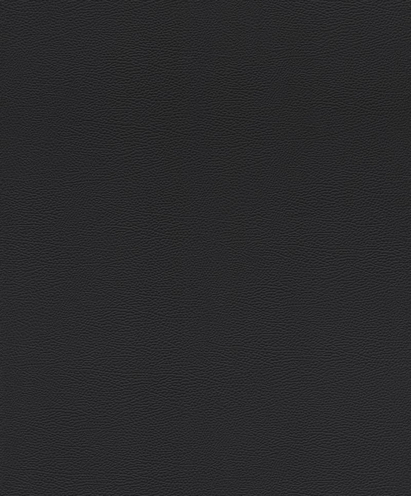 Rasch Vliestapete 752656 Schwarz-Mattschwarz Uni 10,05 m x 0,53 m von Rasch