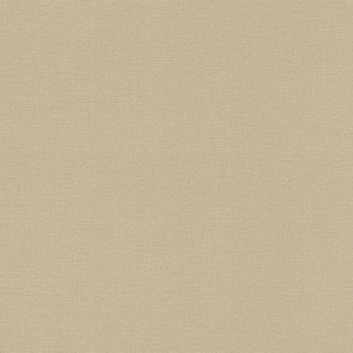 Rasch Vliestapete Salsa 449815 Uni Hellbraun 10,05x0,53 m Rasch Vliestapete Salsa 449815 Uni Hellbraun 10,05x0,53 m von Rasch