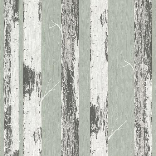 Rasch home style Tapete 285413 - Grüne Papiertapete mit Birkenstämmen, Birkenwald - 10,05m x 0,53m Rasch home style Tapete 285413 - Grüne Papiertapete mit Birkenstämmen, Birkenwald - 10,05m x 0,53m von Rasch