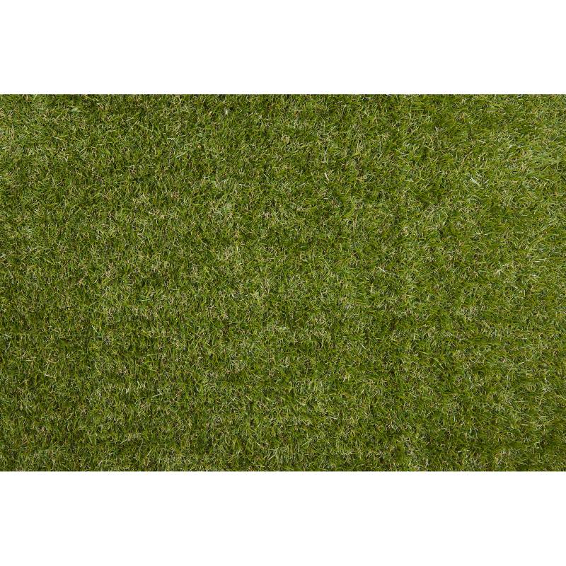 Rasen Deluxe Rasenteppich 'Varel' grün 200 x 300 cm mit Drainage Rasen Deluxe Rasenteppich 'Varel' grün 200 x 300 cm mit Drainage von Rasen Deluxe