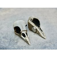 Krähenschädel Magnet - Knochenguss Kunstharz Replica Krähe Kunst 6, 5 cm Elster Schädel Gothic Kühlschrankmagnet Kuriositäten Und Knochen Krähenschädel Magnet - Knochenguss Kunstharz Replica Krähe Kunst 6, 5 cm Elster Schädel Gothic Kühlschrankmagnet Kuriositäten Und Knochen von RavenRanch