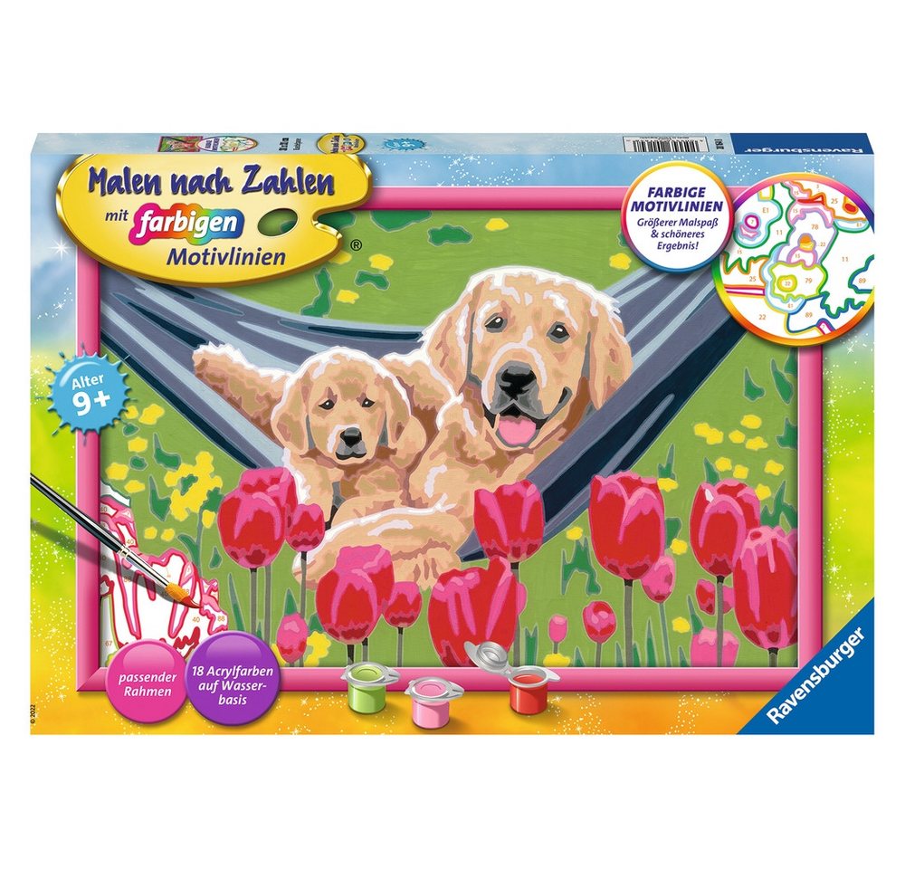 Ravensburger Verlag GmbH Malen nach Zahlen Ravensburger Malen nach Zahlen Kuschelpause Ravensburger Verlag GmbH Malen nach Zahlen Ravensburger Malen nach Zahlen Kuschelpause von Ravensburger Verlag GmbH