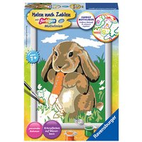 Ravensburger Malen-nach-Zahlen Knuddelhäschen mehrfarbig von Ravensburger