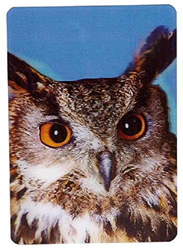Ravensden 3 D Magnet Eule 11x7,5cm Kühlschrankmagnete Tiere Eulen Vogel Ravensden 3 D Magnet Eule 11x7,5cm Kühlschrankmagnete Tiere Eulen Vogel von Ravensden