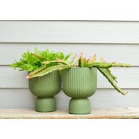 Zaria Modern Texturierte Grüne Keramik Innen Überpflanzen von RawRevivals
