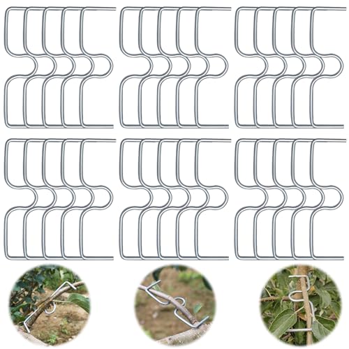 Raxfekro Astspreizer Obstbaum, Astzieher Halter für Obstzweige, Astklammern Metall für Gartenzweige, Zum Spreizen und Ebnen von Obstbaumzweigen (30pcs 8cm) von Raxfekro