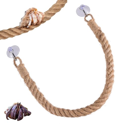 Leiter aus Seil, Einsiedlerkrabbe, Kletterspielzeug, Einsiedlerkrebse, flexibel, robust, 55,9 cm, Lebensraumdekoration mit Saugnapf von Raxove