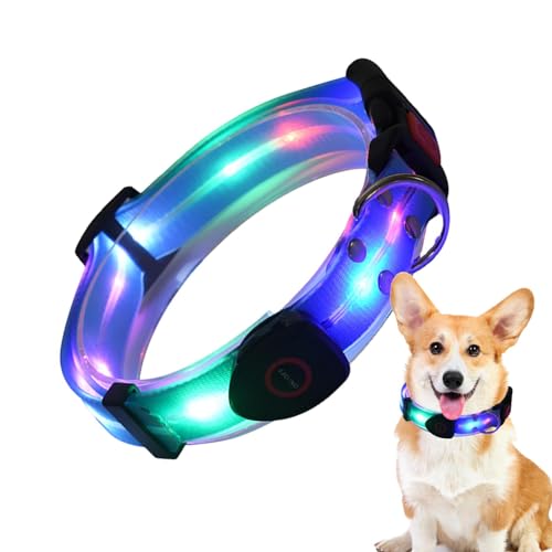 Leuchthalsband für Hunde, Hundehalsband mit Nachtlicht - Verstellbares beleuchtetes Leuchtendes Haustierhalsband | Wiederaufladbare Hundelichter über USB Wetterfest von Raxove