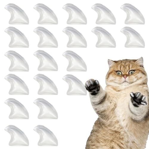 Maisschäler und Reibe 2-in-1 | Multifunktions-Maisreibe, Knoblauchzerkleinerer und Ingwer-Trenner, tragbares Küchengerät Maisschäler und Reibe 2-in-1 | Multifunktions-Maisreibe, Knoblauchzerkleinerer und Ingwer-Trenner, tragbares Küchengerät von Raxove