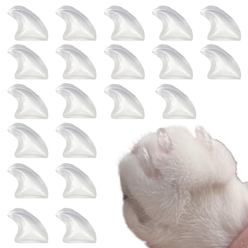 Maisschäler und Reibe 2-in-1 | Multifunktions-Maisreibe, Knoblauchzerkleinerer und Ingwer-Trenner, tragbares Küchengerät Maisschäler und Reibe 2-in-1 | Multifunktions-Maisreibe, Knoblauchzerkleinerer und Ingwer-Trenner, tragbares Küchengerät von Raxove