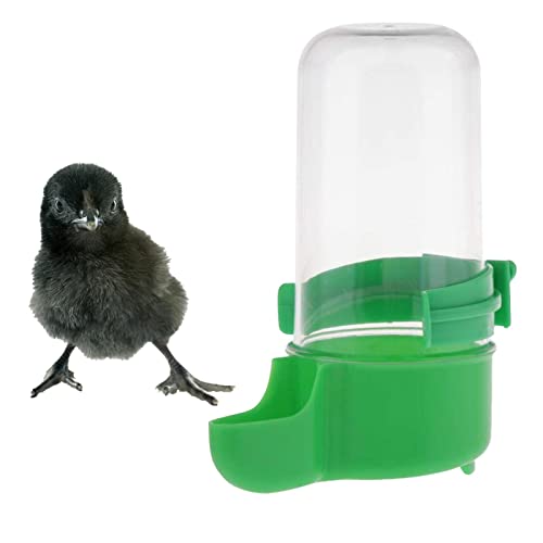 Raxove Automatischer Vogelfutterspender Vogelkäfig Wasserspender Futterflasche Schüssel Automatischer Trink-Futterspender für Käfig Haustierflasche Hängende Wasserfütterungsflaschen Automatischer Raxove Automatischer Vogelfutterspender Vogelkäfig Wasserspender Futterflasche Schüssel Automatischer Trink-Futterspender für Käfig Haustierflasche Hängende Wasserfütterungsflaschen Automatischer von Raxove