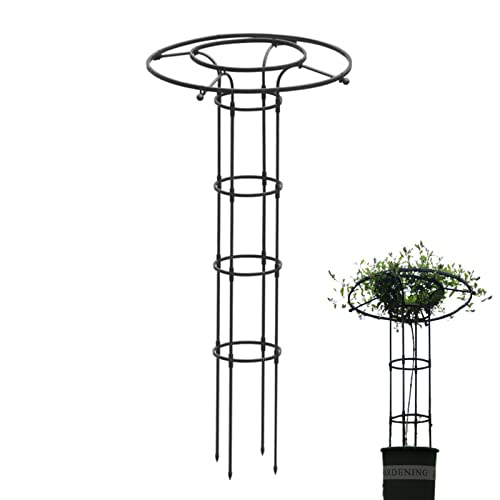 Raxove Metall Garten Kletterpflanzenstütze, Regenschirm Garten Rankgitter für Outdoor-Pflanzen, stabile aufrechte Blumen, Stahlrahmen, Rankgitter für Reben, Tomaten und andere Pflanzen, Höhe 150cm, Raxove Metall Garten Kletterpflanzenstütze, Regenschirm Garten Rankgitter für Outdoor-Pflanzen, stabile aufrechte Blumen, Stahlrahmen, Rankgitter für Reben, Tomaten und andere Pflanzen, Höhe 150cm, von Raxove