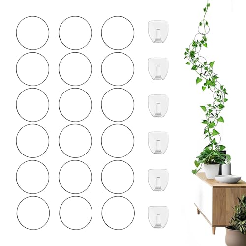 Rankgitter für Topfpflanzen, Rankgitter für Zimmerpflanzen - Rankgitter mit Rundkette aus Edelstahl, Wand-Rankgitter für Weinefeublüten, Rankgitter für Topfpflanzen, Rankgitter für Zimmerpflanzen - Rankgitter mit Rundkette aus Edelstahl, Wand-Rankgitter für Weinefeublüten, von Raxove