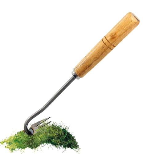 Unkrautentferner, Unkrautentferner, Unkrautentferner, 4 Zähne, Werkzeug zum Entfernen von Wurzeln Unkrautentferner, Unkrautentferner, Unkrautentferner, 4 Zähne, Werkzeug zum Entfernen von Wurzeln von Raxove