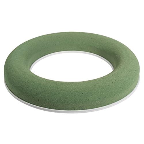 Rayher Naß-Steckform Ring, 25 cm ø, 3,5cm, Stärke 5cm, Schaumstoff, Grün, 25,5 x 25,5 x 3,7 cm, 30206000 von Rayher