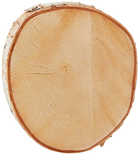 Rayher 55806000 Birkenscheibe, 25-28cm ø, Stärke 2,5cm Rayher 55806000 Birkenscheibe, 25-28cm ø, Stärke 2,5cm von Rayher