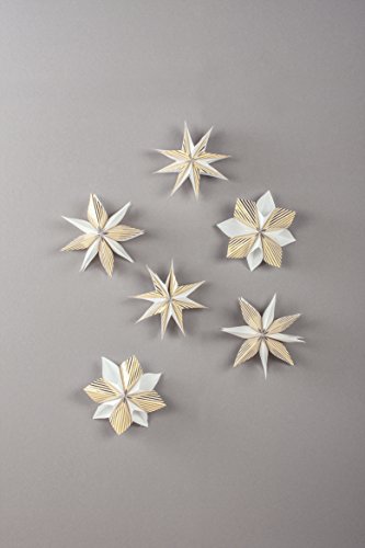 Rayher 67274616 Set Set Mini-Zaubersterne XXS, gold, Material für 6 glitzernde kleine Papiersterne 12 cm ø, mit Tüten und Faltblättern Sterne falten, Sterne basteln, Weihnachtssterne von Rayher