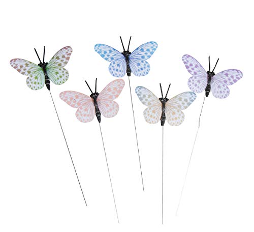 Rayher 68104999 Papier-Schmetterlinge, farbig sortiert, 5 Stück, ø 5 cm, inkl. Drahtstecker, zum Basteln und Dekorieren Rayher 68104999 Papier-Schmetterlinge, farbig sortiert, 5 Stück, ø 5 cm, inkl. Drahtstecker, zum Basteln und Dekorieren von Rayher